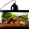 Reptile Bark Fir Bedding, 8 Quarts RB8-4