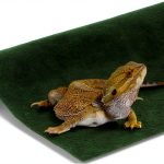 Reptile Mat SunGrow Terrarium Liner 30-65 Gallon Green Soft Bedding-0