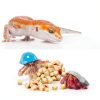 SunGrow Coco Fiber Hermit Crab & Reptile Carpet, Gecko Terrarium Liner, and Floor Bedding Substrate & Supplies, Climbing Wall Carpet & Mat for Hermit Crabs, 10" x 13", 1 Piece Per Pack-2