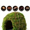 Galapagos (05366 Mossy Dome Hide, 6 in, Galápagos Green-2