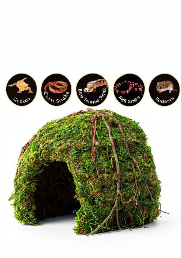Galapagos (05366 Mossy Dome Hide, 6 in, Galápagos Green-2