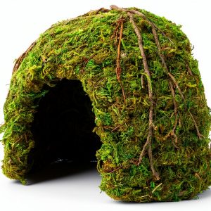 Galapagos (05366 Mossy Dome Hide, 6 in, Galápagos Green-0