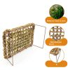 Bearded Dragon Hammock SAQVX Metal Legs Seagrass Platform B13-2