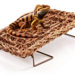 Bearded Dragon Hammock SAQVX Metal Legs Seagrass Platform B13-0